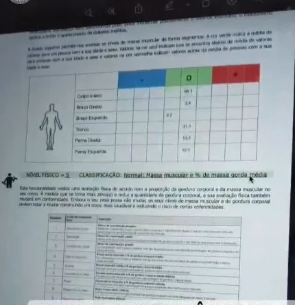 Exemplo de relatório com análise segmentar da massa muscular